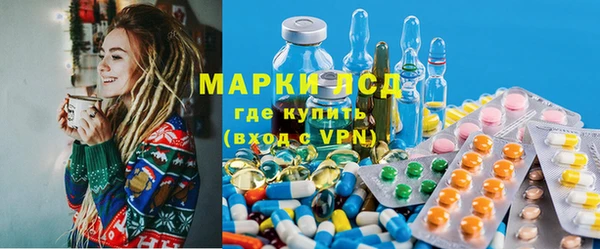 apvp Алексин