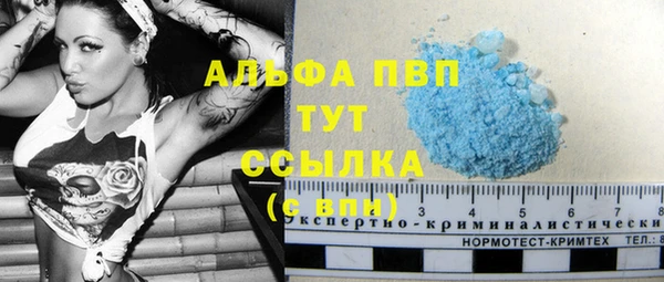 спайс Покачи