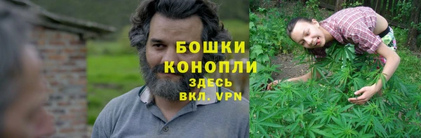 спайс Покачи
